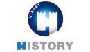 history viasat